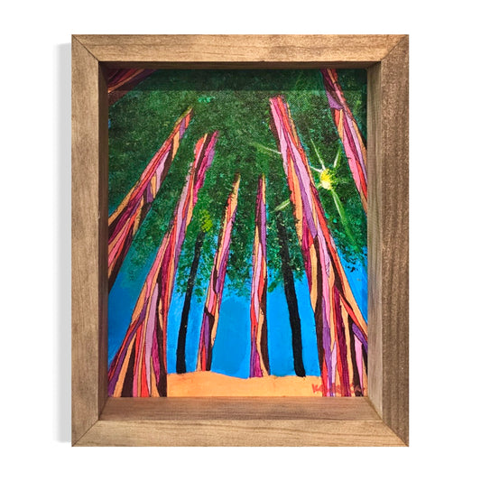 Redwood Dreams Original Painting